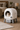 AutoScooper 3