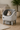 AutoScooper 1