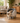 Autoscooper 1 - Cat Litter Box